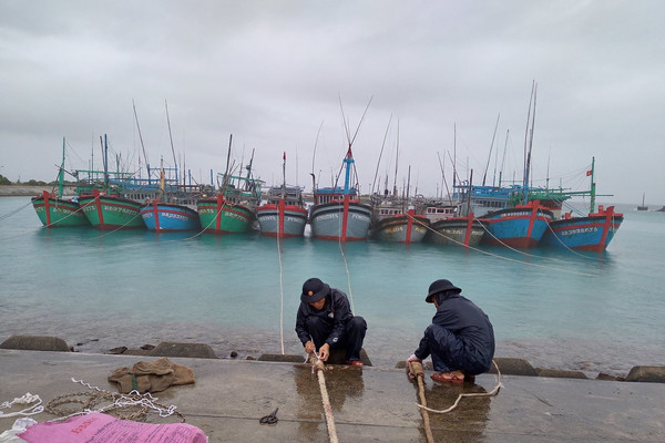 Hỗ trợ kịp thời gần 600 ngư dân vào tránh, trú bão số 14 tại huyện đảo Trường Sa