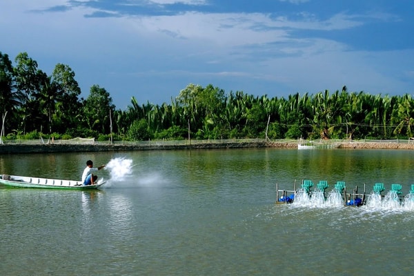 Tăng sức ‘đề kháng’ trước biến đổi khí hậu 