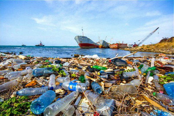 NPAP Việt Nam - Nền tảng thúc đẩy hợp tác giảm ô nhiễm nhựa