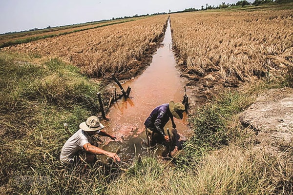 ĐBSCL ứng phó với biến đổi khí hậu