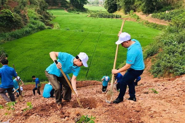 Sơn La dự kiến trồng 30.000 cây phân tán dịp Tết Nguyên đán 2021