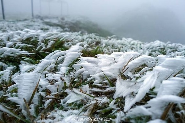 Bắc Bộ đến Thừa Thiên - Huế tiếp tục rét hại, vùng núi khả năng xảy ra băng giá