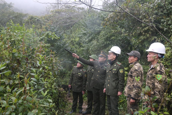 Lào Cai: Thầm lặng những người lính gác rừng