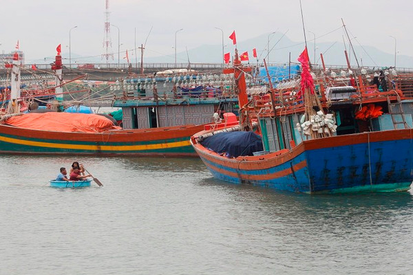 Quảng Bình: Trích hơn 31 tỷ đồng hỗ trợ tàu cá khai thác vùng biển xa