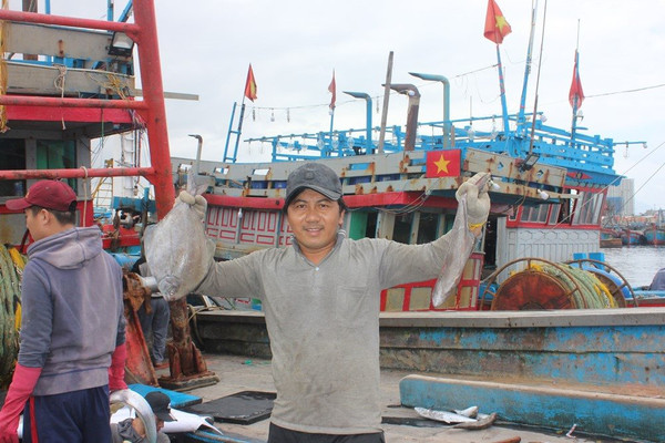 Tươi rói nụ cười sau chuyến biển cuối năm của ngư dân miền Trung