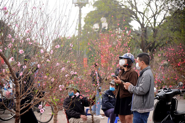 Thưa vắng chợ hoa lớn nhất Thủ đô ngày cận Tết Tân Sửu