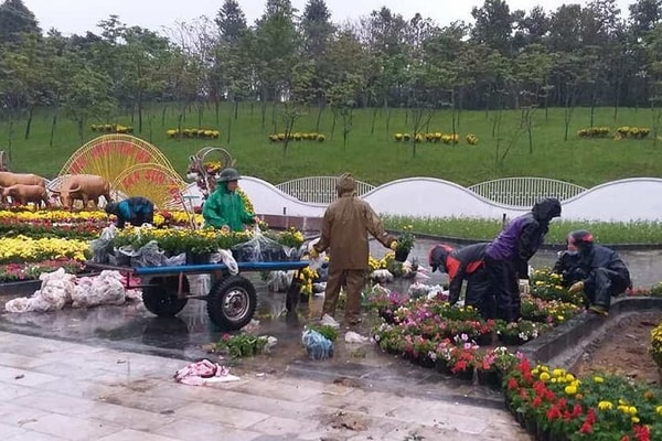Nghệ An: Chuẩn bị chạy thử phố đi bộ vào dịp Tết