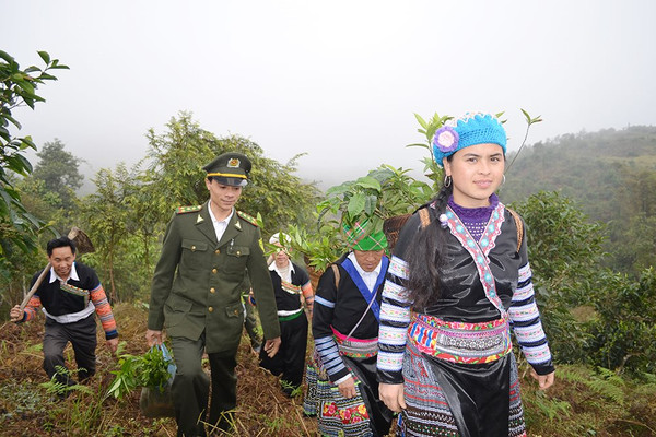 Yên Bái: Cả cộng đồng cùng tham gia bảo vệ rừng
