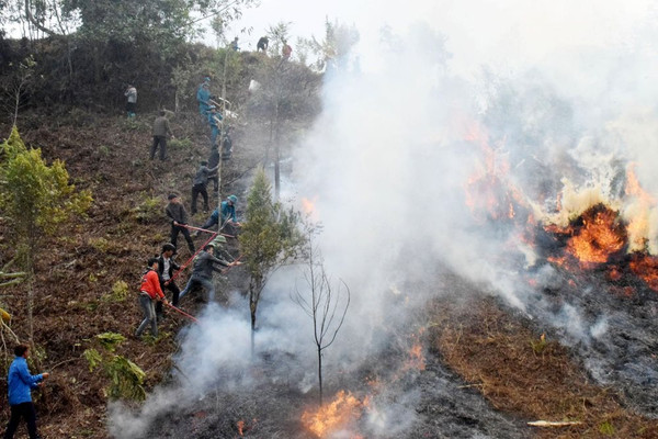 Lào Cai: Tăng cường công tác bảo vệ và phòng chống cháy rừng