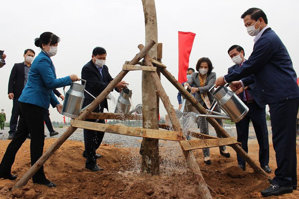 Bắc Ninh: Trồng mới gần 20.000 cây xanh các loại