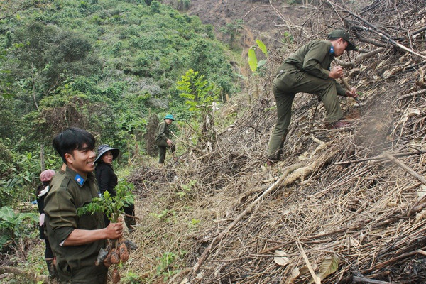 Quảng Nam: Trả “nợ” rừng xanh 