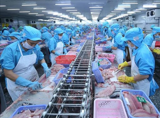 Xuất khẩu của Việt Nam sang Australia tăng 62,08% trong tháng 1
