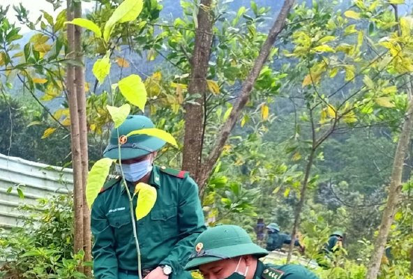 Bộ đội Biên phòng Đà Nẵng trồng 1.600 cây xanh trong dịp "Tết trồng cây đời đời nhớ ơn Bác Hồ"