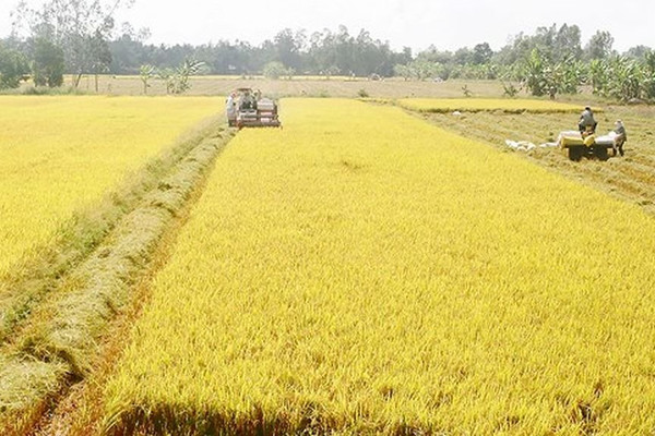 Hà Nam: Bổ sung, điều chỉnh danh mục các dự án thu hồi đất, dự án chuyển mục đích sử dụng đất dưới 10 ha đất trồng lúa