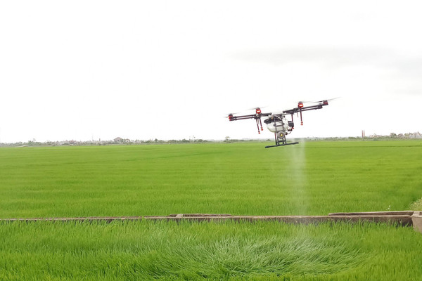 Nhân rộng mô hình máy bay không người lái phun thuốc bảo vệ thực vật tại Huế
