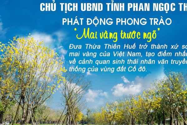 Thừa Thiên Huế phát động phong trào trồng mai vàng trước ngõ mỗi cơ quan, nhà dân