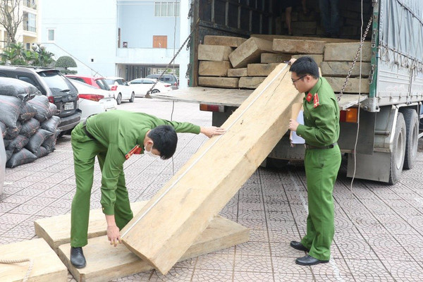 Hà Tĩnh: Bắt giữ xe tải vận chuyển gỗ không rõ nguồn gốc