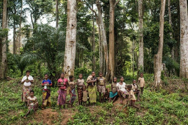 Liên Hiệp Quốc kêu gọi bảo vệ rừng vì con người, hành tinh và thịnh vượng