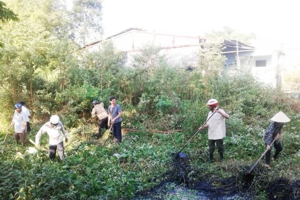 Đà Nẵng: Lan tỏa phong trào cựu chiến binh tham gia bảo vệ môi trường
