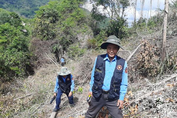 Khánh Hòa: Vụ phá rừng Suối Tân - Kiểm điểm, xử lý trách nhiệm cán bộ liên quan