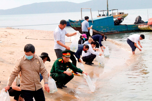 TP.Móng Cái (Quảng Ninh): Thả 450 nghìn con tôm, cá giống xuống biển tái tạo môi trường