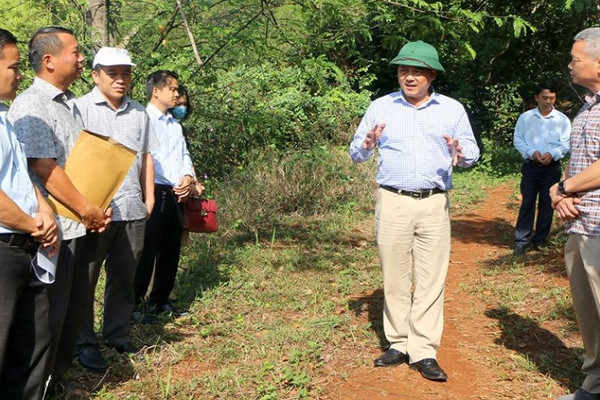 Đắk Nông: Kiểm tra, chỉ đạo xử lý vụ lấn chiếm rừng phòng hộ thuỷ điện Đắk R’Tih