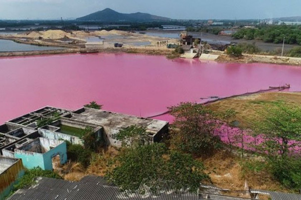 Sở TN&MT Bà Rịa - Vũng Tàu lý giải hiện tượng đầm nước có "màu hồng”