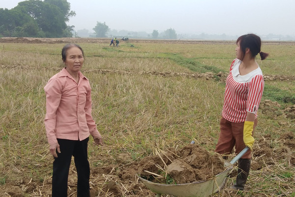 Huyện Điện Biên: Dồn điền đổi thửa – giải pháp nâng cao năng suất cây trồng