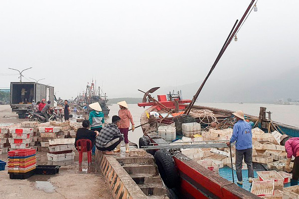 Thanh Hóa: Tăng cường quản lý hoạt động khai thác hải sản