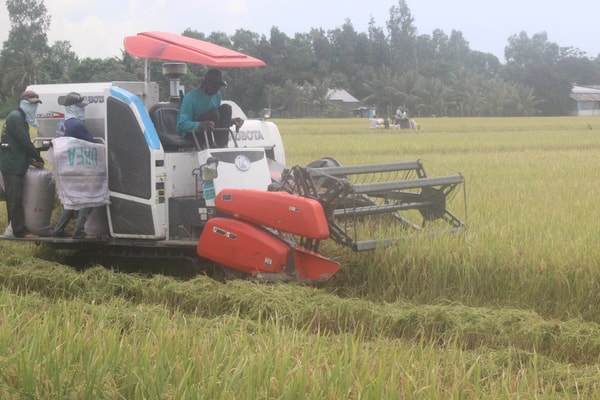 ĐBSCL: Phát triển nông nghiệp bền vững thích ứng với biến đổi khí hậu