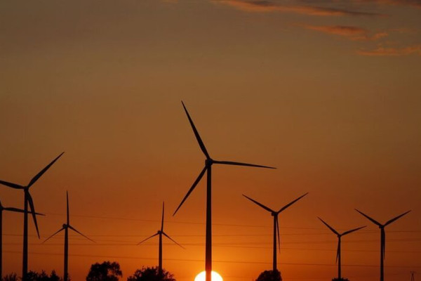 EU có thể phải đối mặt với các mục tiêu năng lượng tái tạo quốc gia