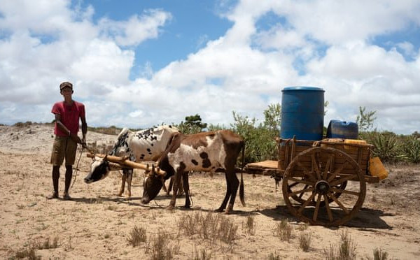 Hơn 1 triệu người Madagascar đối mặt nạn đói do hạn hán nghiêm trọng