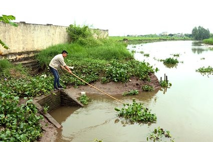Ninh Bình: Tập trung bảo vệ nguồn nước trước nguy cơ xâm nhập mặn