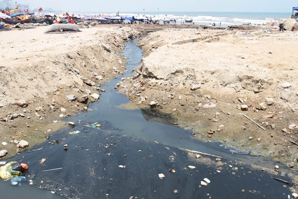Ô nhiễm môi trường biển đang gây áp lực lên hệ sinh thái