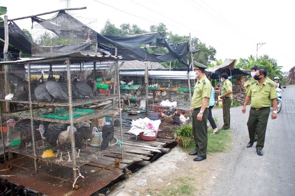 Đa dạng sinh học bị phá hủy - đại dịch sẽ còn tiếp diễn