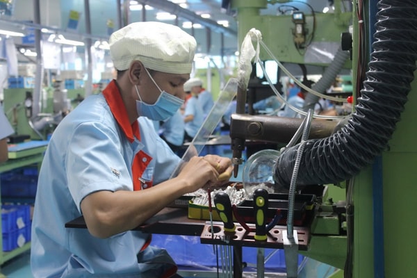Đồng Nai: Doanh nghiệp FDI thực hiện mục tiêu kép