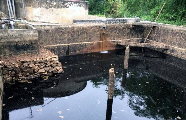 Thanh Hóa: Lấy mẫu xét nghiệm nước giếng, sau khi cá chết trên sông Mã