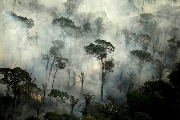  Cảnh báo cháy rừng nghiêm trọng tại Amazon và Pantanal ở Brazil
