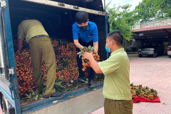 QLTT hỗ trợ tiêu thụ nông sản cho nông dân Bắc Giang