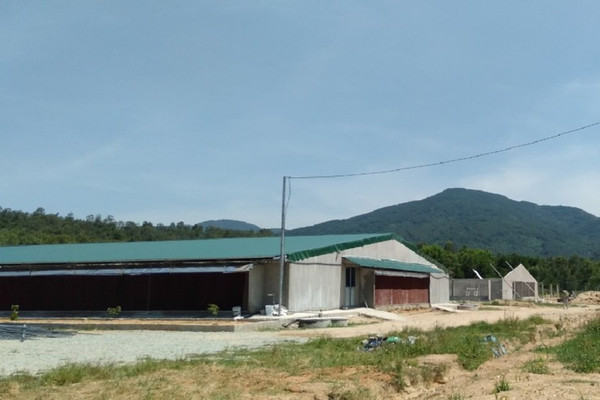 Hà Tĩnh: Phạt trang trại chăn nuôi hơn 400 triệu đồng do vi phạm trong sử dụng đất