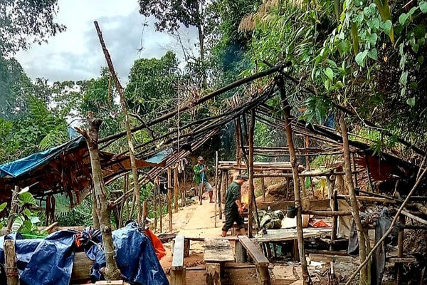 Thừa Thiên Huế: Xới tung rừng phòng hộ để khai thác vàng trái phép