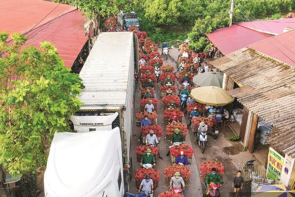 Có một Việt Nam như thế