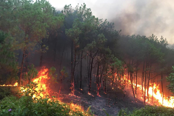 Chủ động ngăn chặn nguy cơ cháy rừng diện rộng ở các địa phương