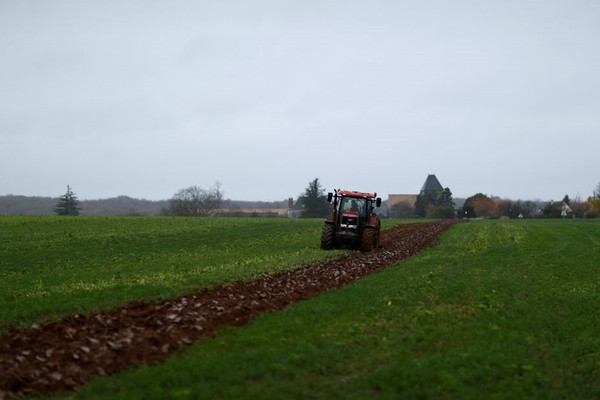 EU thông qua thoả thuận cải cách trợ cấp nông nghiệp