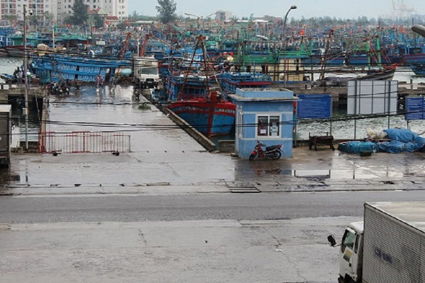 Đà Nẵng: Tạm dừng hoạt động cảng cá Thọ Quang vì liên quan 5 bệnh nhân Covid-19