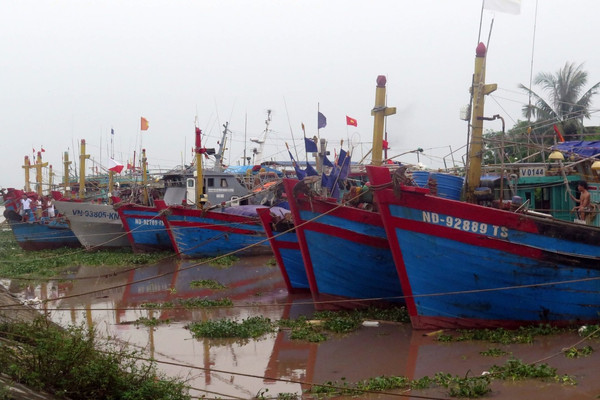 Nam Định: Cấm biển từ 12h ngày 7/7 để chủ động ứng phó với áp thấp nhiệt đới