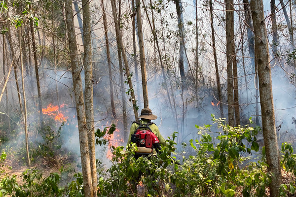 Thừa Thiên Huế: Tăng cường giải pháp phòng cháy, chữa cháy rừng