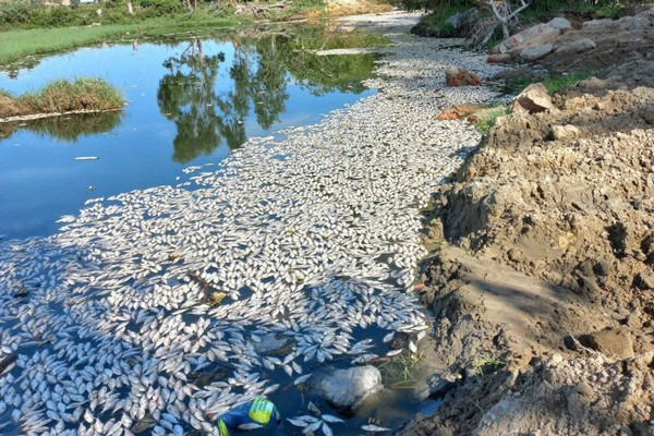 Bao giờ các dòng sông hết bị đầu độc?