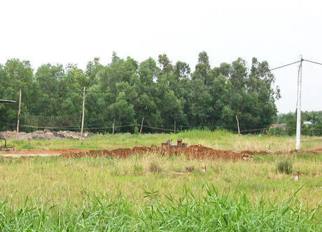 Chuyển mục đích sử dụng hơn 56 ha đất lúa tại tỉnh Hậu Giang