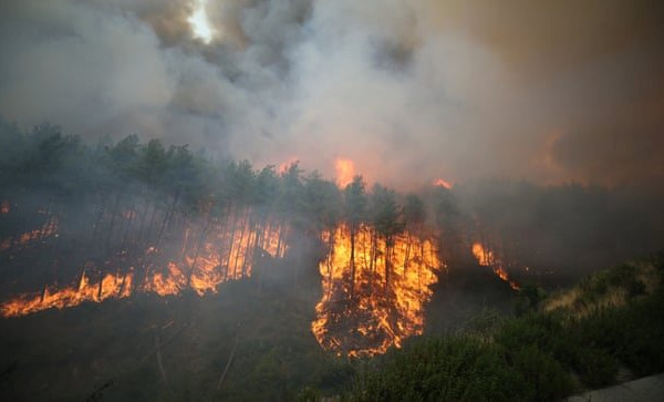 Cháy rừng lan rộng, Thổ Nhĩ Kỳ kêu gọi quốc tế giúp đỡ